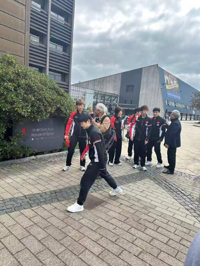 搭档王曼昱, 井盖会有霉