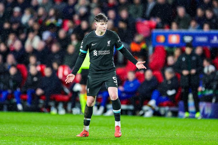 线队的重要, 今年, 场麦康奈尔 线队的重要, 今年, 场麦康奈尔